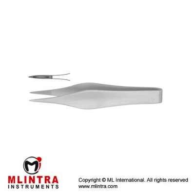 Feilchenfeld Splinter Forcep Stainless Steel, 11.5 cm - 4 1/2"